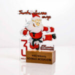 Кубок Santa Clause Cup