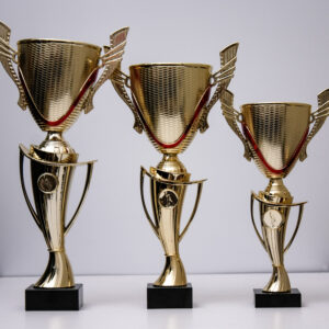 Кубок пластиковий універсальний 5078В h38см