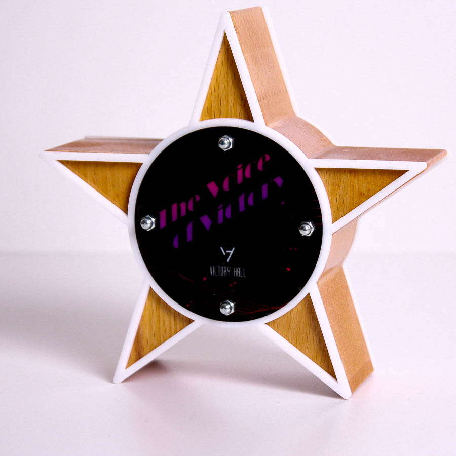 Награда корпоративная VICTORY HALL