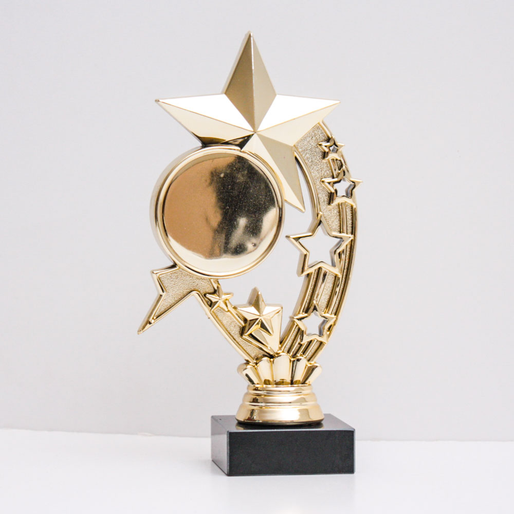 Статуетка Зірка із жетоном 50мм h19см