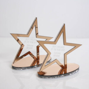 Приз акриловий КРАЩИЙ РОБОТНИК РОКУ