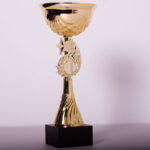 Кубок наградный 5098А Высота 28см