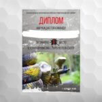 Диплом индивидуальный для награждения