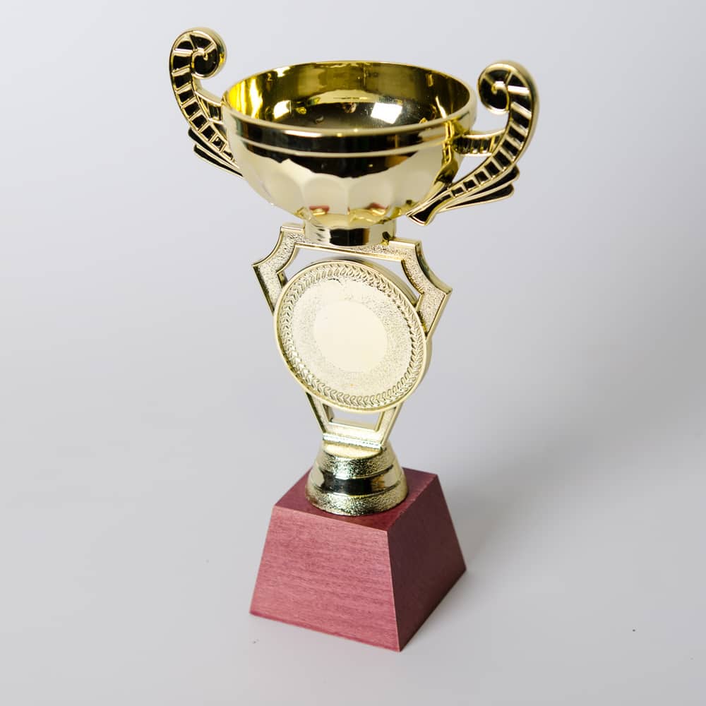 Кубок Коломбо пластиковий для нагородження  на дитячіх змаганнях Н20 см