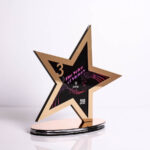 Нагорода з акрилового скла із зіркою VICTORY