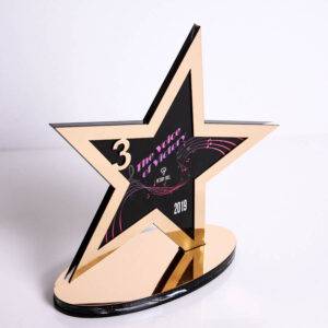 Нагорода з акрилового скла із зіркою VICTORY