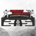 Медальниця для медалей кіокушин карате з полицею, іменна Розмір 65*30см MDP1