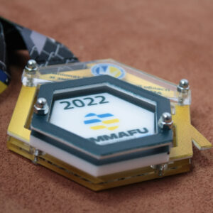 Медаль композитная по смешанным единоборствам ММА размер 90*90 мм МКМА1