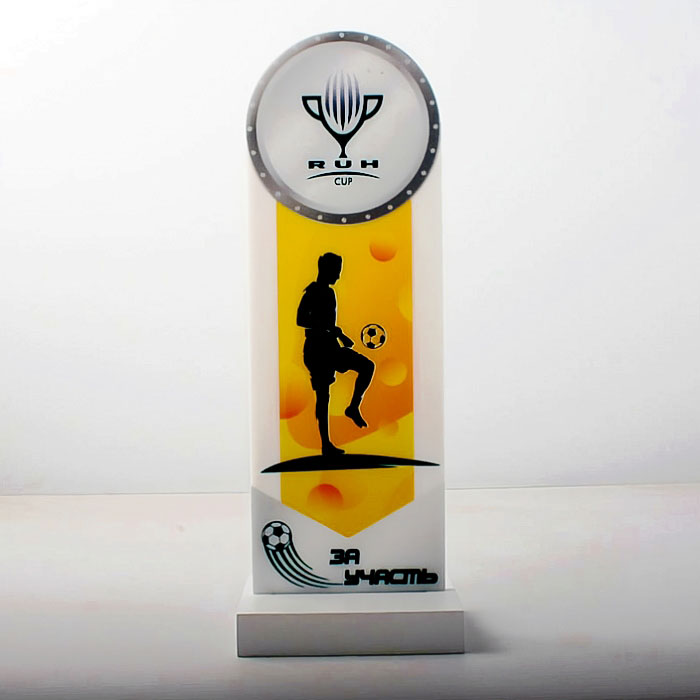 Кубок нагорода з Футболу За участь 10х28см KNFU28