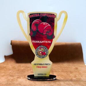 Приз індивідуальний Кубок з боксу h27cm PIKB27