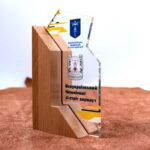 Кубок индивидуальный чемпионат по стрит воркаут размер 15Х9СМ KSW159