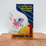 Приз индивидуальный школа ММА 22х17см 54N23