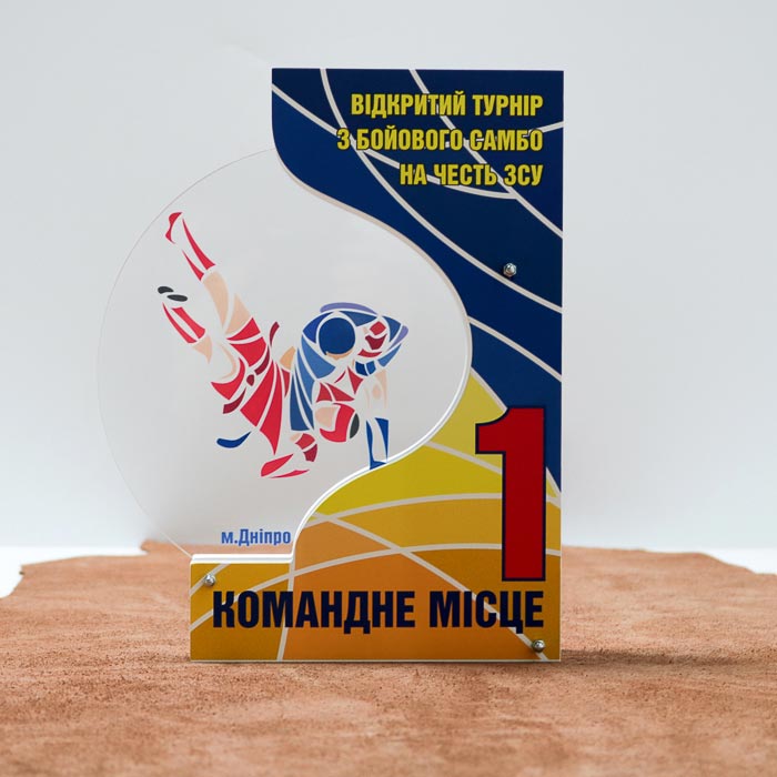 Приз индивидуальный школа ММА 22х17см 54N23