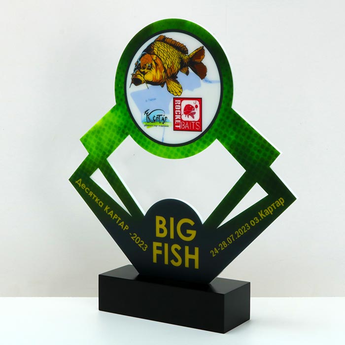 Нагорода з Риболовлі Десятка Картар BIG FISH 29x30см АРТПРИЗ 3112N3