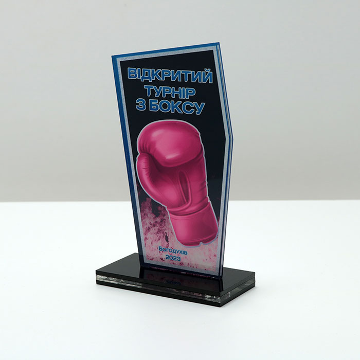 Приз для нагородження ВІДКРИТИЙ ТУРНІР З БОКСУ 10x17см АРТПРИЗ 2622N3