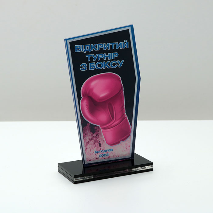 Приз для нагородження ВІДКРИТИЙ ТУРНІР З БОКСУ 10x17см АРТПРИЗ 2622N3