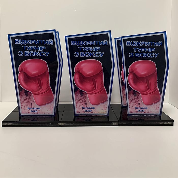 Приз для нагородження ВІДКРИТИЙ ТУРНІР З БОКСУ 10x17см АРТПРИЗ 2622N3