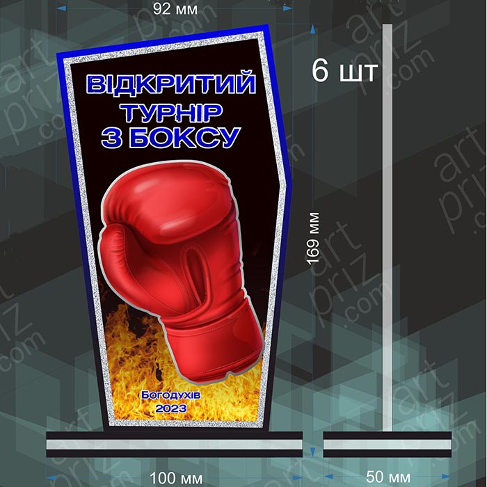 Приз для нагородження ВІДКРИТИЙ ТУРНІР З БОКСУ 10x17см АРТПРИЗ 2622N3