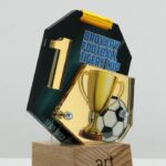 Медаль футбольная BROVARY FOOTBALL TIGERS CUP 8X9см АРТПРИЗ 3543M3