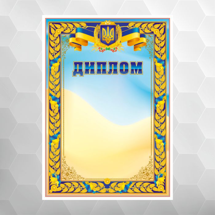 Диплом універсальний для нагородження №56 національний, формат А4