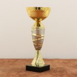 Кубок наградной K6020A Высота 29см, D чаши 120мм