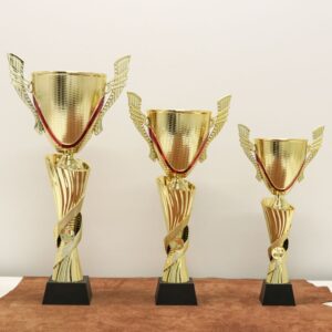 Кубок нагородний K6019C Висота 34см, D чаші 100мм