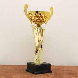 Кубок нагородний K6016B Висота 33см, D чаші 120мм