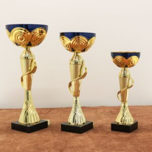 Кубок нагородний K6006А Висота 30см, D чаші 120мм