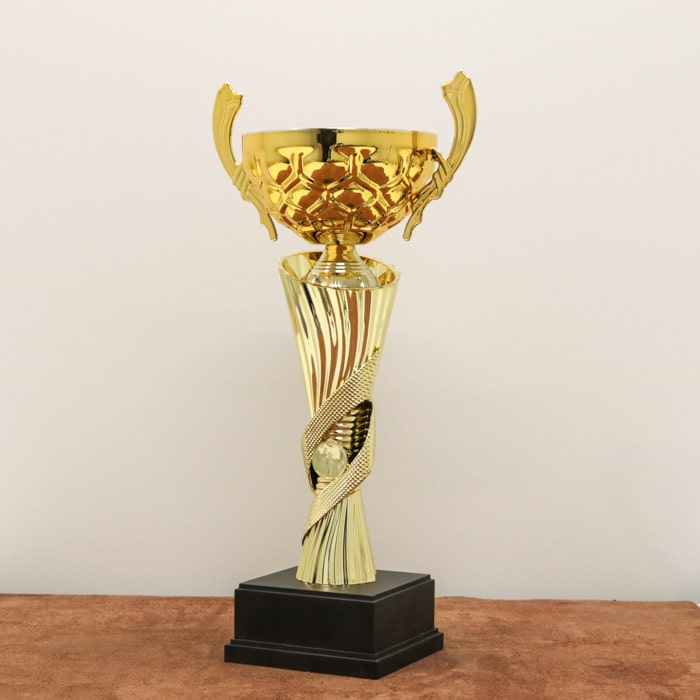 Кубок наградной K6016C Высота 30см, D чаши 100мм