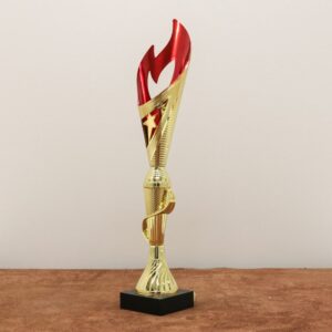 Кубок нагородний K6008С Висота 36см