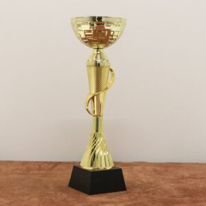 Кубок нагородний K6010В Висота 31см, D чаші 120мм