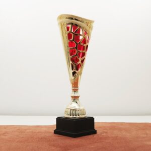 Кубок нагородний K6035B Чаша D13см Висота 38см