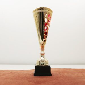 Кубок нагородний K6035B Чаша D13см Висота 38см