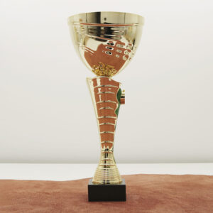 Кубок нагородний K6036B Чаша D12см Висота 34см