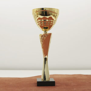 Кубок нагородний K6030C Чаша D10см Висота 28см