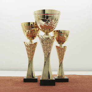 Кубок нагородний K6030C Чаша D10см Висота 28см