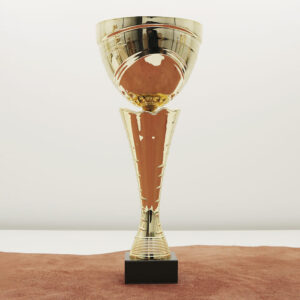 Кубок нагородний K6036C Чаша D10см Висота 29см