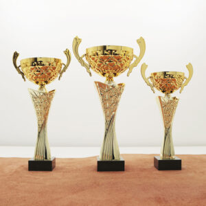 Кубок нагородний K6033C Чаша D10см Висота 30см