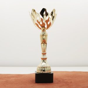 Кубок нагородний K6012B Чаша D12см Висота 30см