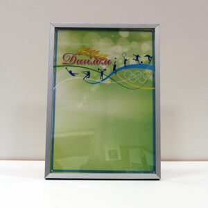 Фоторамка з алюмінію матова срібна 30х42см (А3) Для фото, дипломів, сертифікатів, грамот RABSА3