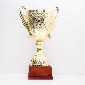 Кубок Імператор С пластикова нагорода для будь-якого виду змаганьм h27см